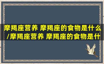 摩羯座营养 摩羯座的食物是什么/摩羯座营养 摩羯座的食物是什么-我的网站